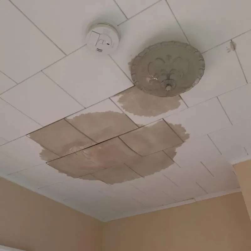 Ceiling Water Damage Repair in Fincastle, VA