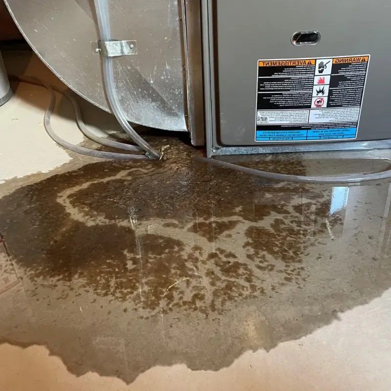 Pipe Burst and Leak Restoration in Fincastle, VA